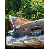 American Auto Salvage & Rcyclg - Other in DeBary