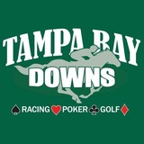 Tampa Bay Stallions Inc - Other in Oldsmar