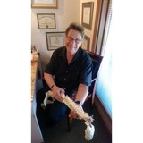 Seltzer Freddie J DC - Chiropractors in Altamonte Springs