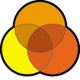 Infosun - Web Design & Development in Sarasota