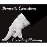 Domestic Executives - Cleaning Services in Port Orange