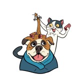 Lulu's pet spa - Other in Edgewater