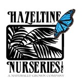 Hazeltine Nurseries Inc - Landscaping in Venice