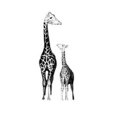 Meyer Pediatrics - Pediatricians in Sarasota