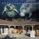 Blue Springs Enterprises - Other in Orange City