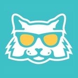 Artful Pussycat Media - Web Design & Development in Tarpon Springs
