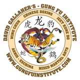 Gung Fu Institute - Other in Fort Myers