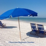 Clearwater Beach Visitor Info - Other in Dunedin