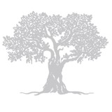 Adoption By Shepherd Care Florida - Other in Casselberry