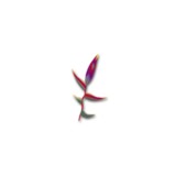 Frank Family Law Practice - Solicitors & Lawyers in Altamonte Springs