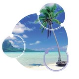 Sea Breeze Cleaning Services - Cleaning Services in Elkton