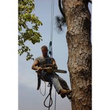 Abounding Tree Service Inc - Tree Services in Milton