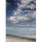 Condominium Management Group - Other in Pinellas Park