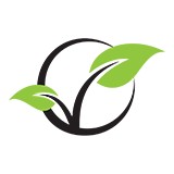 SEED Internet Solutions - Web Design & Development in Englewood