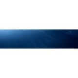 Alliance Integrated Service - Other in Sanford