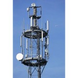Lambic Telcom - Other in Palm Harbor