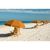 Suncoast Partners of Keller Williams - Other in Palm Harbor