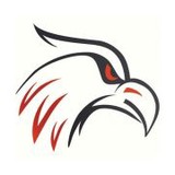 Red Hawk Security Services - Other in Oldsmar