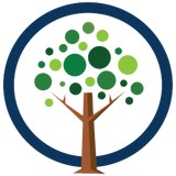 Solace Insurance - Insurance in Largo