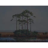 Eastmoore Theodore C - Solicitors & Lawyers in Sarasota