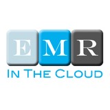 EMR in the Cloud, LLC - Other in Dunedin