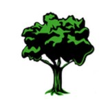 Steve's Tree & Hauling Service LLC - Tree Services in Venice