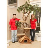 Pet Tree House - Other in Sanford