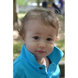 Tricia Vines Photography - Other in Gulf Breeze