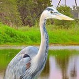 Seminole County Museum - Other in Sanford