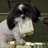 Emerald Coast Coins - Other in Milton