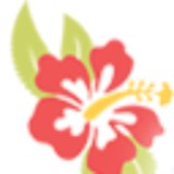 Surfside Realty Referrals Inc - Other in Englewood