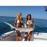 Florida Gulf Vacation LLC - Other in Indian Rocks Beach