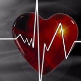 Citizen Cpr Inc - Other in Lakeland