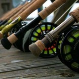Full Net Charters - Other in Gulf Breeze