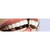Toto Michael G DDS - Dentists in Palatine