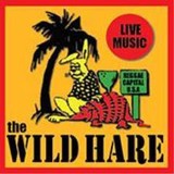 Wild Hare Music LLC - Musical Instruments & Services in Chicago