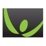 Wetzel Group Inc - Financial Consultants in Chicago