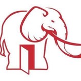 Elephant Room, Inc. - Art Galleries in Chicago