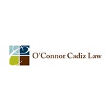 Carol Cadiz Attorney At Law, - Solicitors & Lawyers in Schaumburg