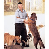 Urban Out Sitters - Animal Boarding/Pet Boarding in Chicago