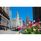 Everywhere Wireless, LLC - Internet Service Providers in Chicago