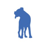 Active Dog Daycare & Boarding - Pet Services in Chicago