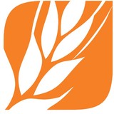 Harvest Media - Graphic Design in Schaumburg