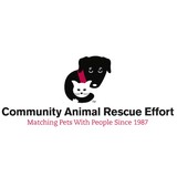Community Animal Rescue Effort Friends Of Evanston Animal Shelter Inc - Veterinarians/Vets in Evanston
