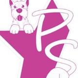 Pup Stars Pet Care - Pet Stores in Chicago