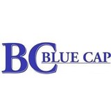 Blue Cap School - Other in Blue Island