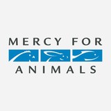 Mercy For Animals Inc - Veterinarians/Vets in Chicago
