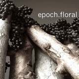 Epoch Floral Inc - Florists in Chicago