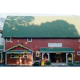 Pumpkin Patch - Other in Caledonia