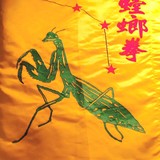 Chinese Martial Arts - Martial Arts in Chicago